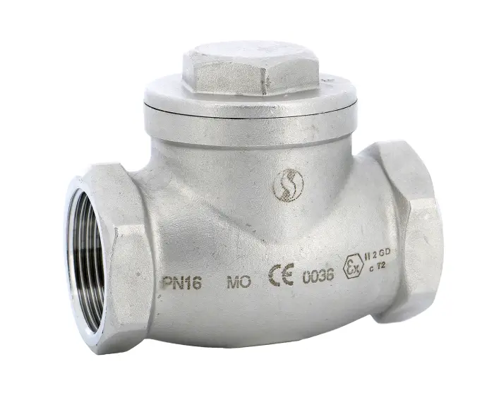 Swing check valve 320 stainless steel CF8M PN16 BSP female x BSP female ...